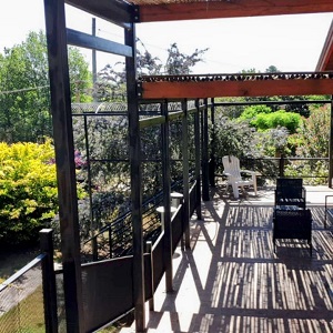 Terraza patio